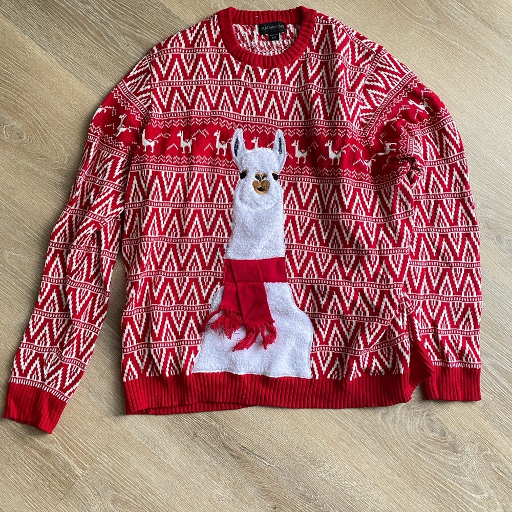 Ugly Funny Christmas Sweater (worn once!)